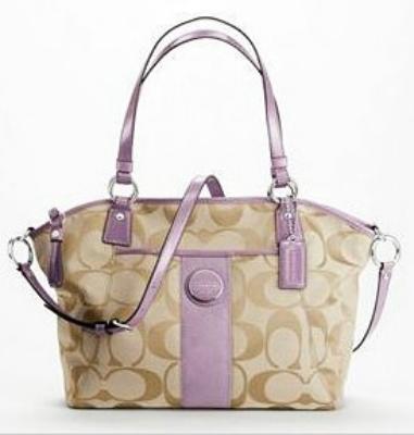 coach bags - 17948 purple/coffee